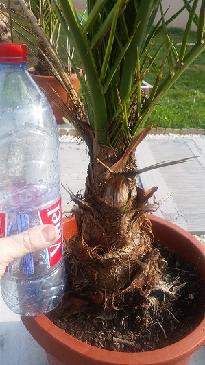 20150319_092544.jpg