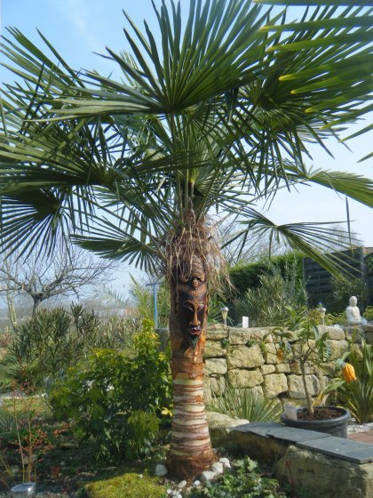DSCF1834.JPG