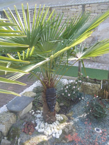 DSCF1840.JPG