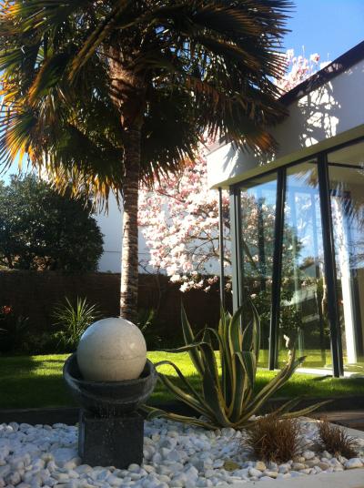 Magnolia 2 mars 2015.jpg