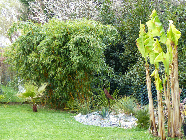 P1020836fh.jpg