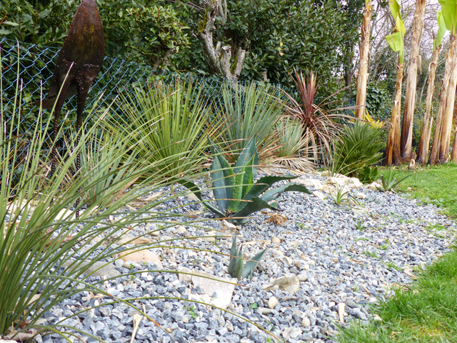 P1020814fh.jpg