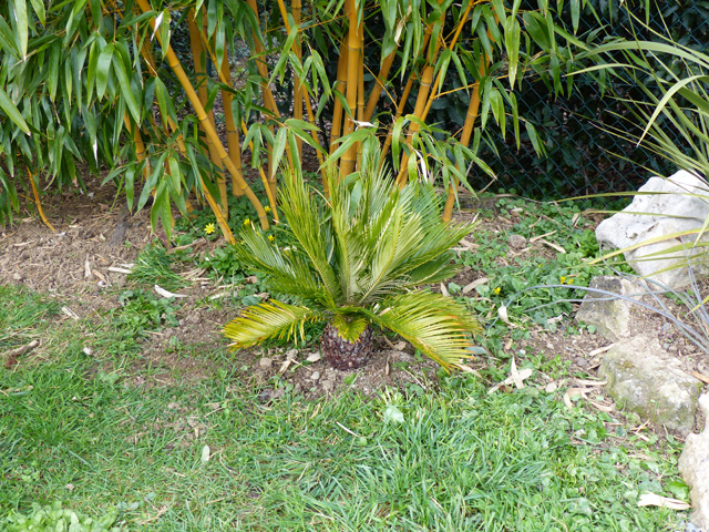 P1020816fh.jpg