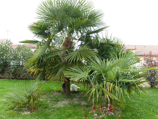 P1020826fh.jpg