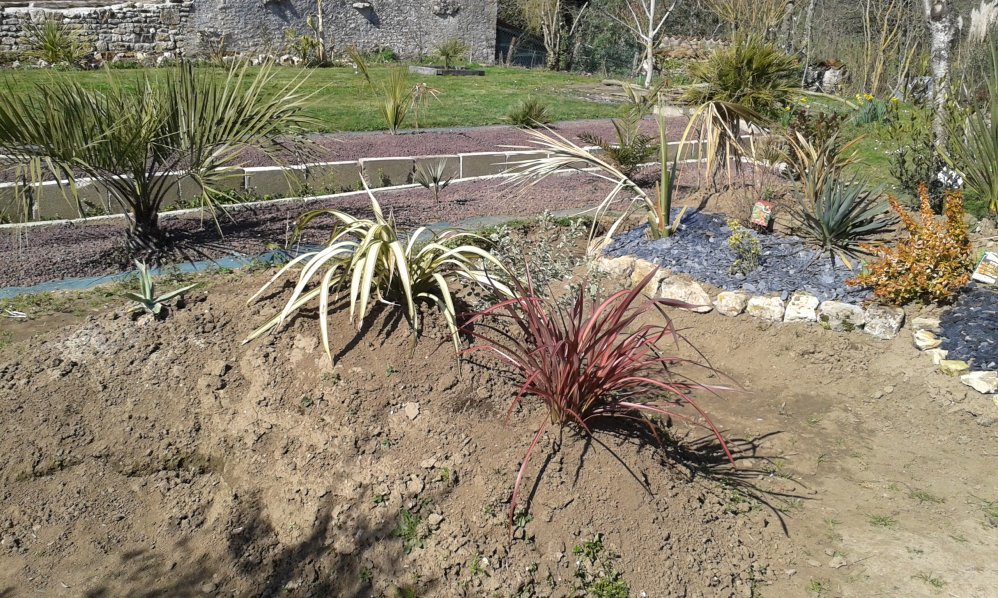 20150317_130027.jpg