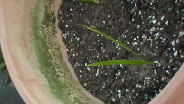 IMGA0822.JPG