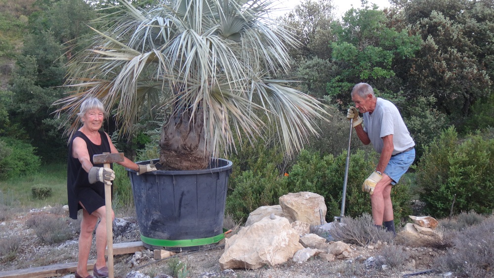 Les radieux parents satisfaits d'avoir enfin terminé