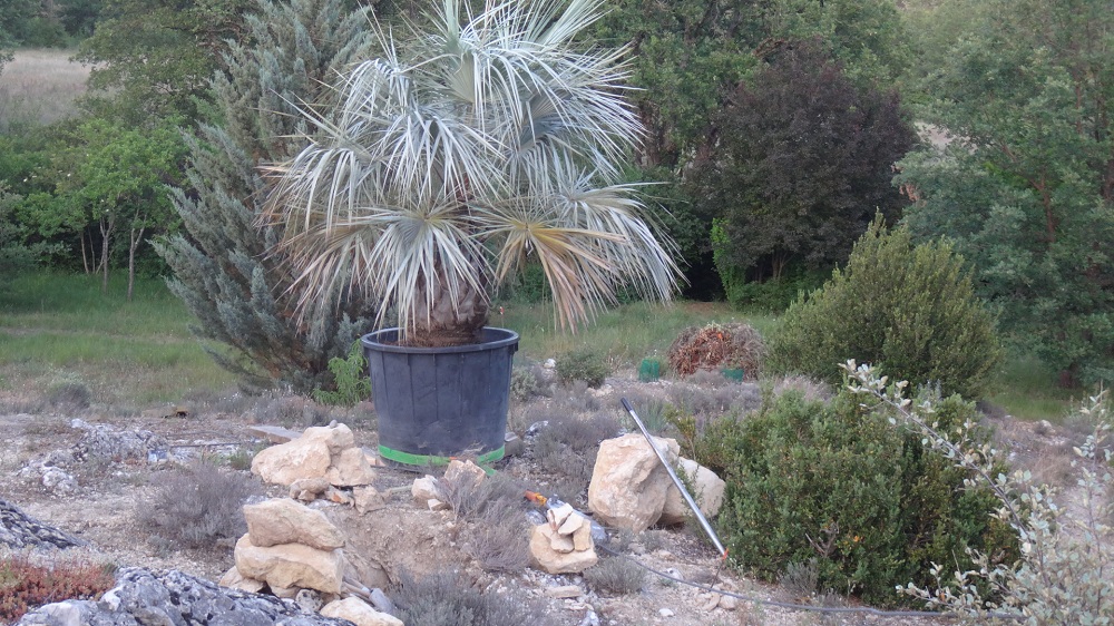 Ah, c'est joli par ici, je sens que je vais m'y plaire!