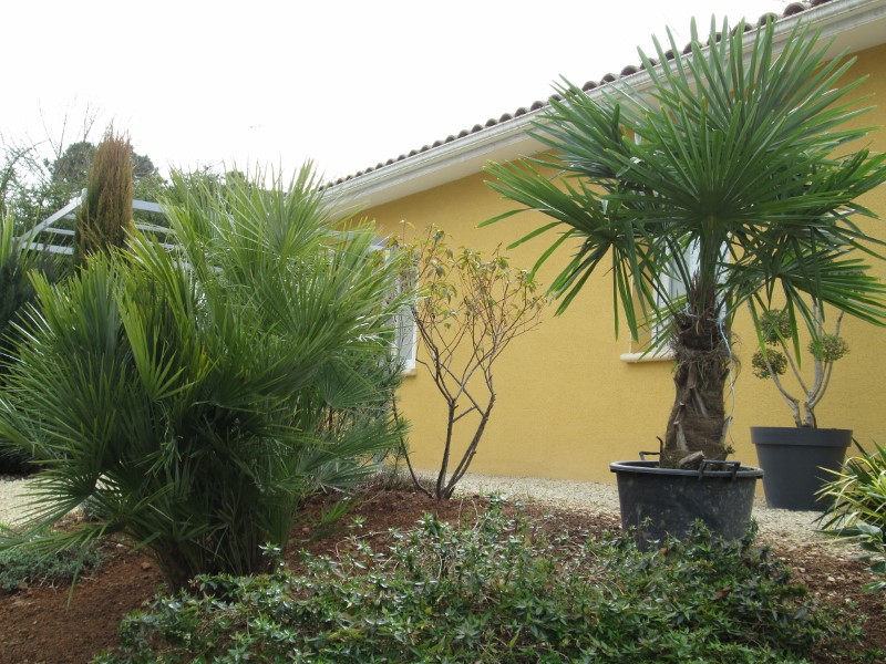 fevrier et mars 2015 + toiles 046 (800x600).jpg