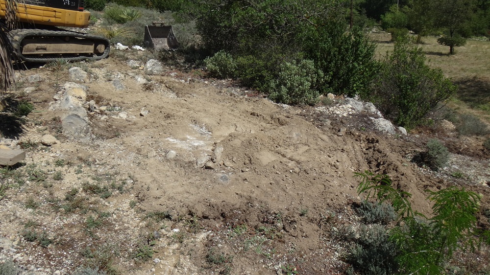 Dégats dûs aux chenilles