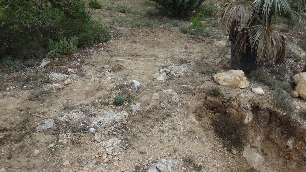 Havardiana saine et sauve dans un paysage lunaire.