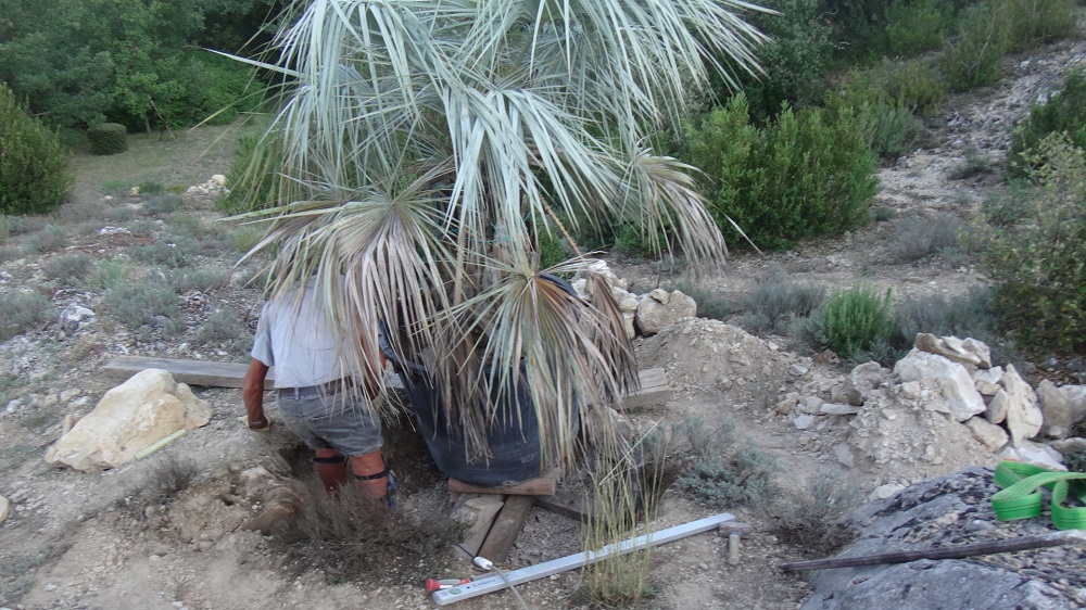 Clara et son beau-père devant sa future maison