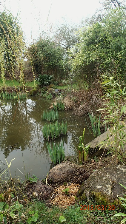 P3300004.JPG