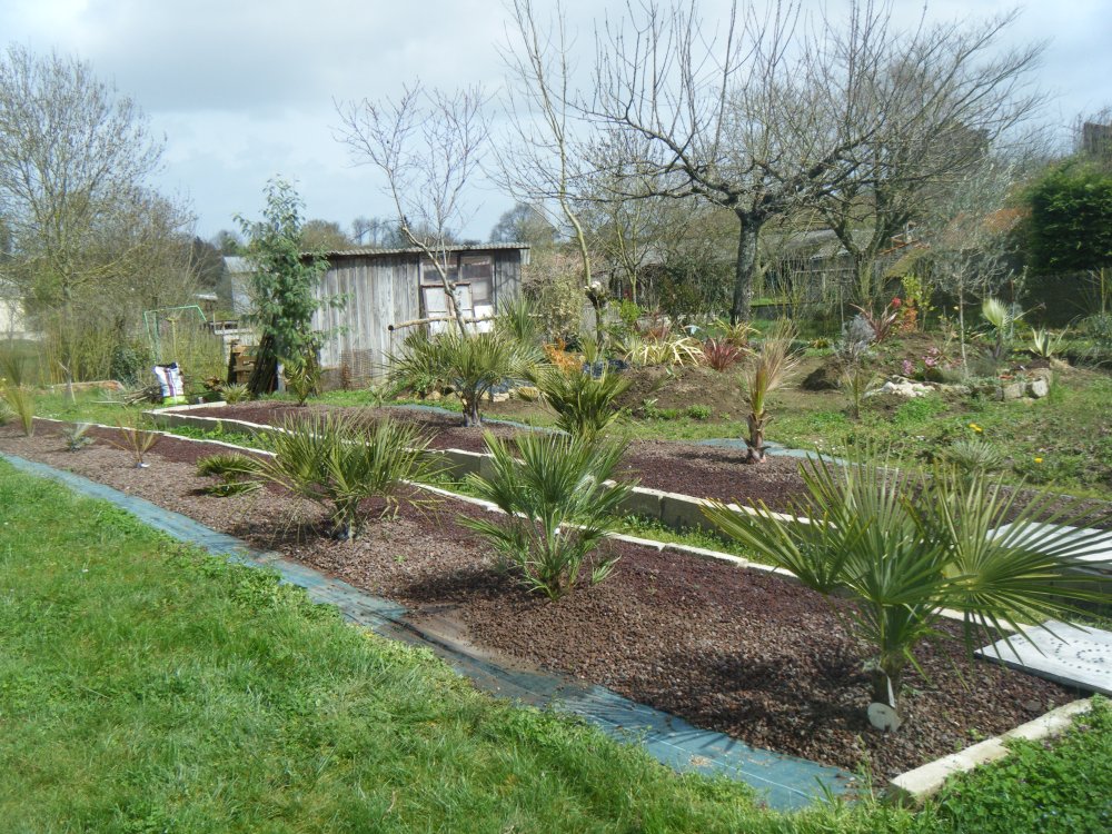 Le deuxième côté gauche en allant vers le fond du jardin