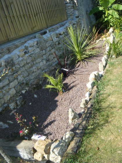 15 septembre 2014,avant la plantation du Sabal Minor