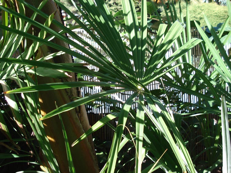 DSC08119.JPG