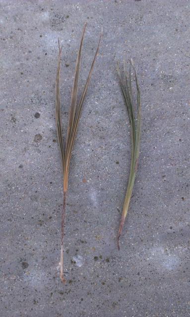 p2.jpg