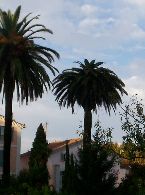 Des signes qui ne trompent pas