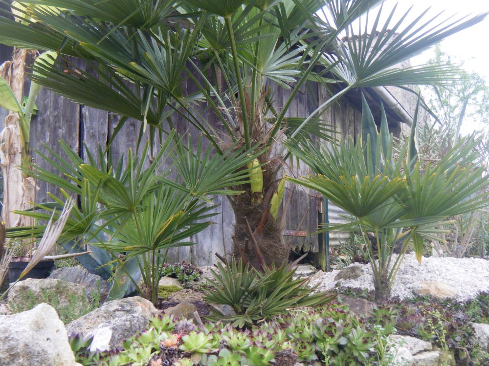 DSCF2191.JPG
