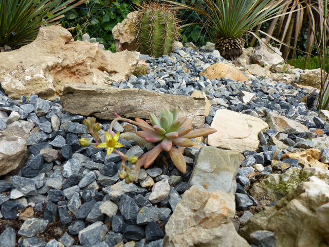 P1030114fh.jpg