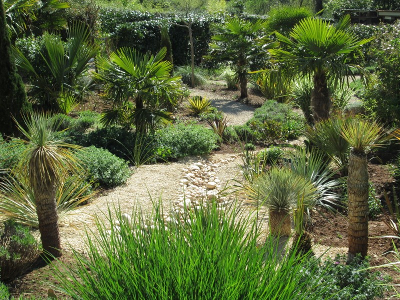 jardin avril 2015 014 (800x600).jpg