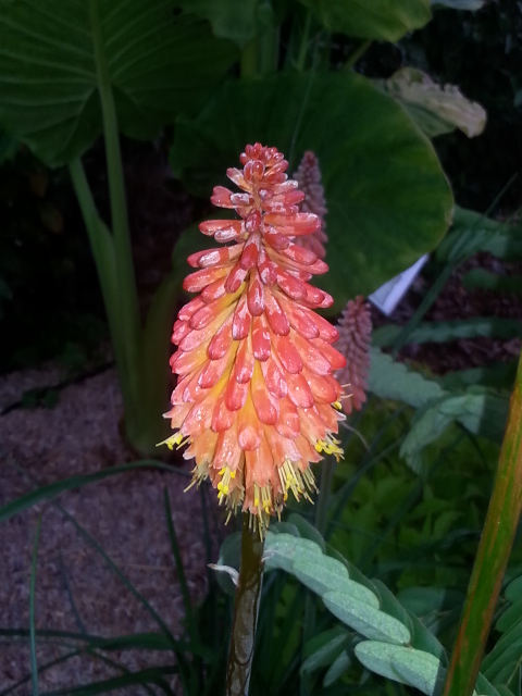 20140824_072616.jpg
