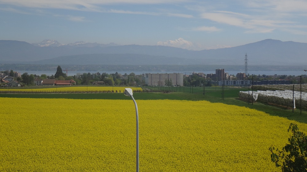 C'est pas une vue de NABAB, ça??