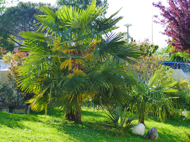 P1030287fh.jpg