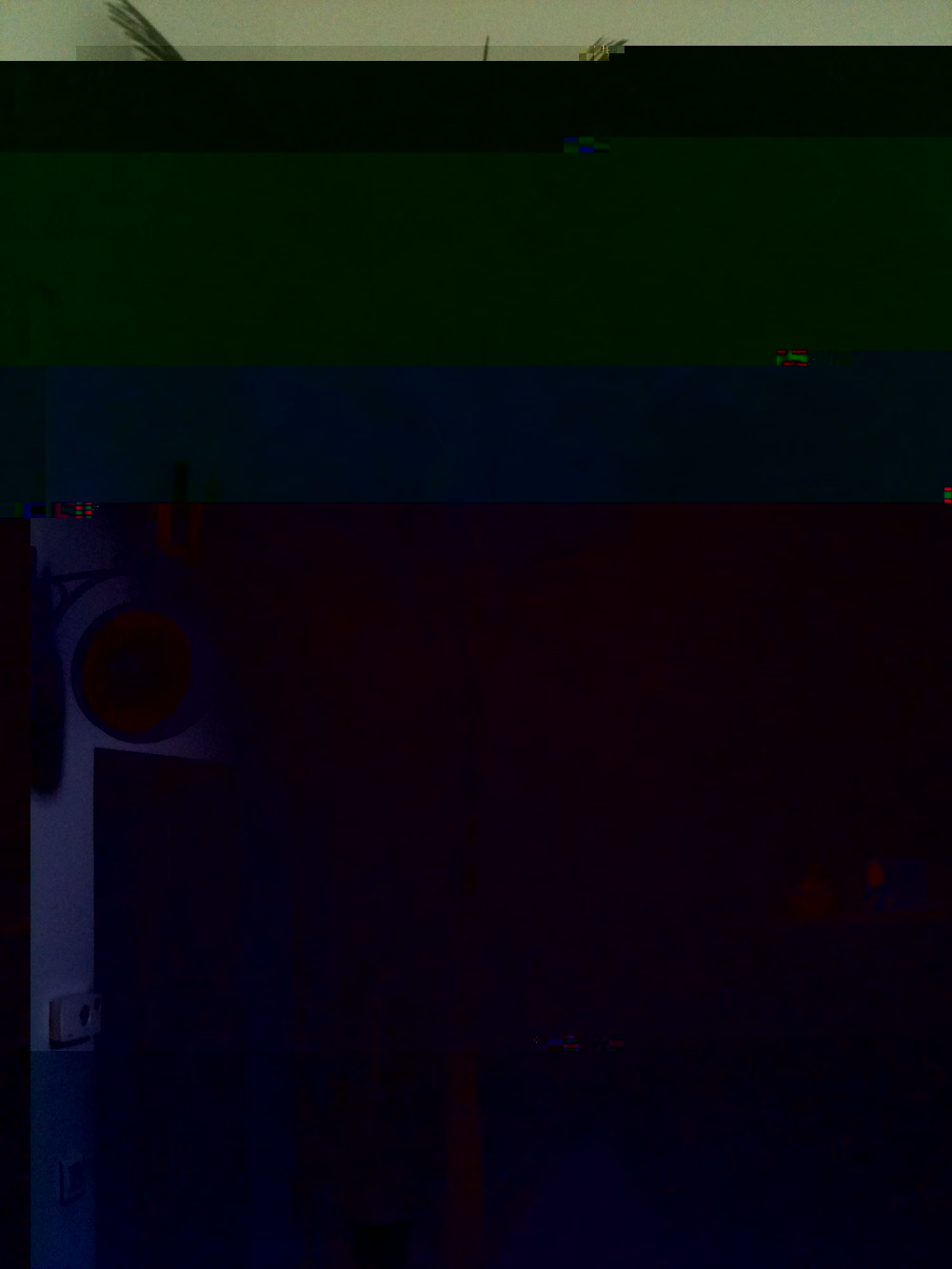 010.JPG