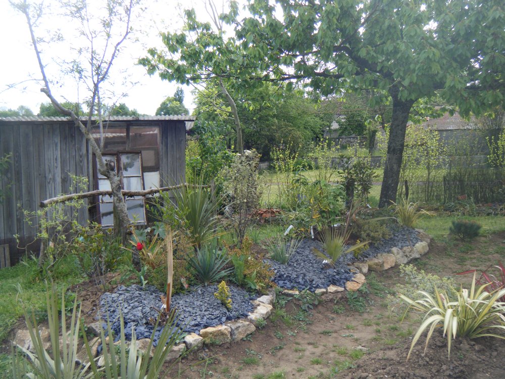 DSCF2232.JPG