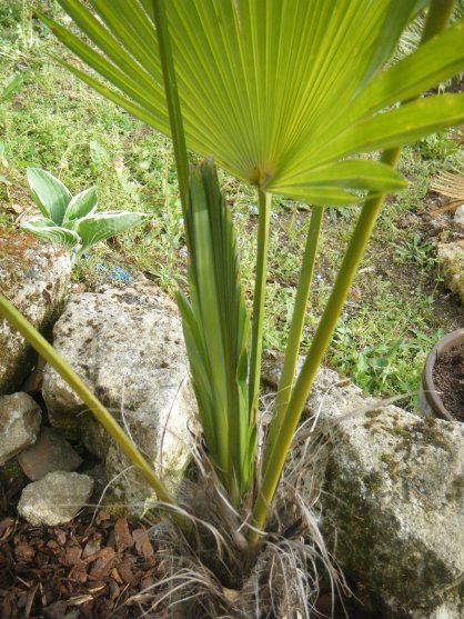 DSCF2248.JPG
