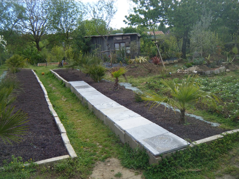 DSCF2240.JPG