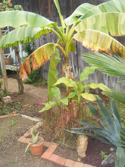 DSCF0507.JPG