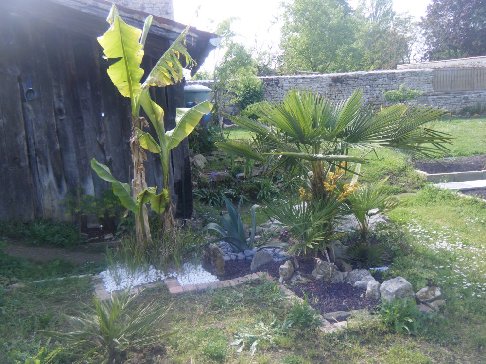 DSCF2390.JPG