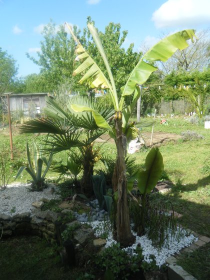 DSCF2394.JPG