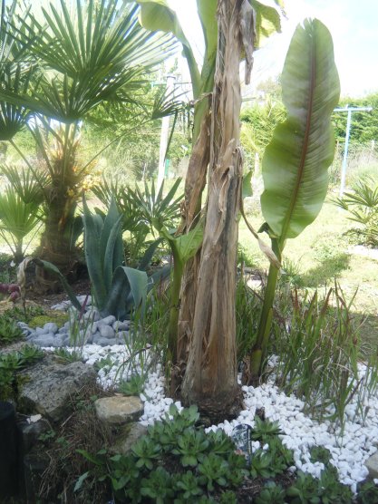DSCF2392.JPG