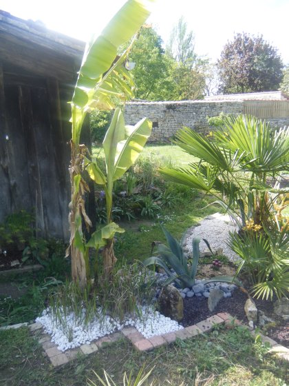 DSCF2391.JPG