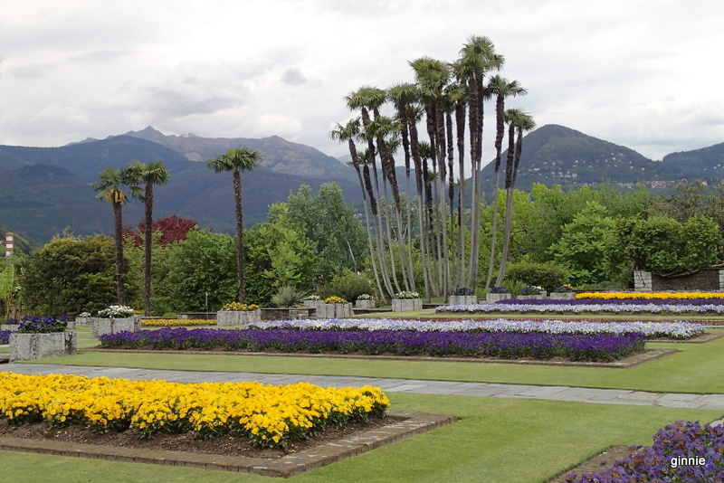 p4291652.jpg