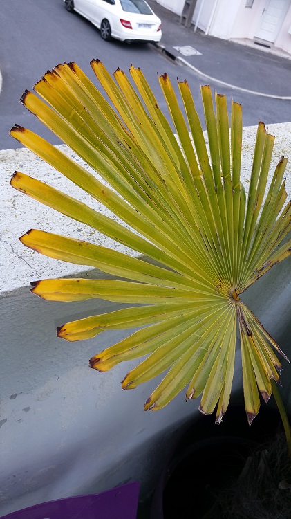 20150420_123758.jpg