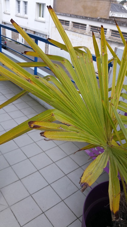 20150420_123811.jpg