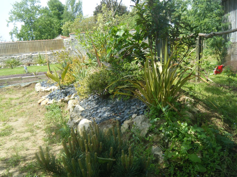 DSCF2534.JPG