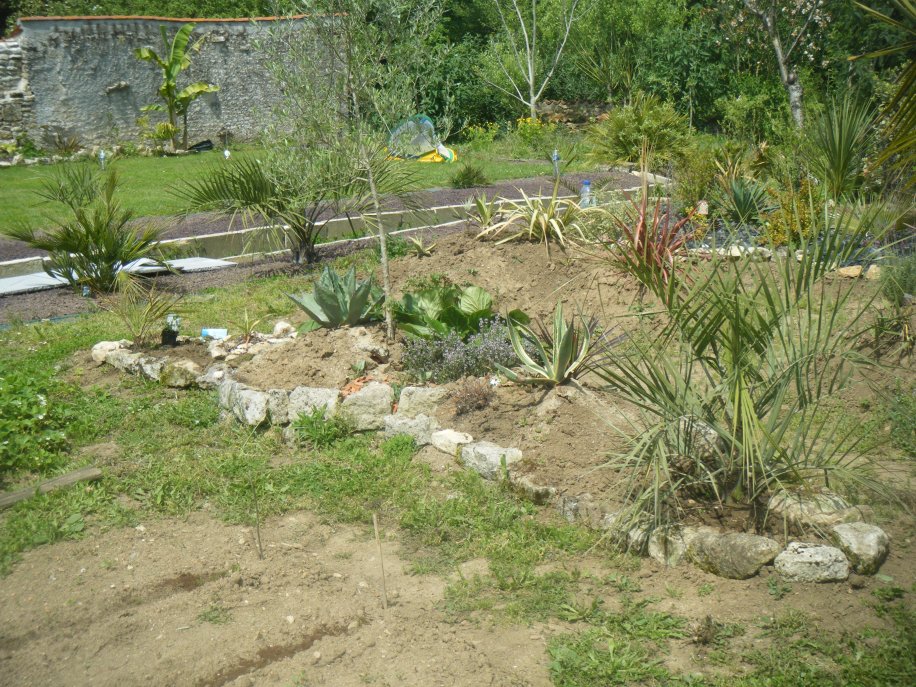 DSCF2538.JPG