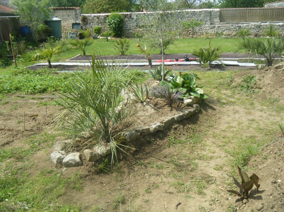 DSCF2532.JPG