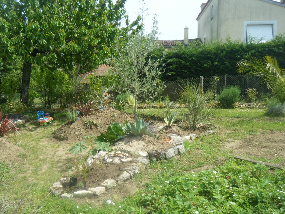 DSCF2527.JPG