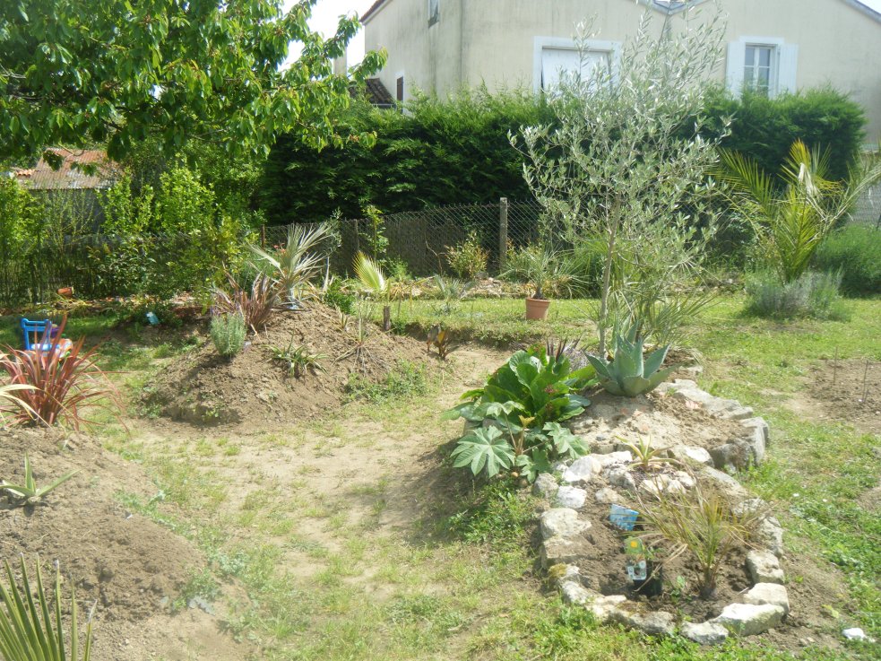 DSCF2526.JPG