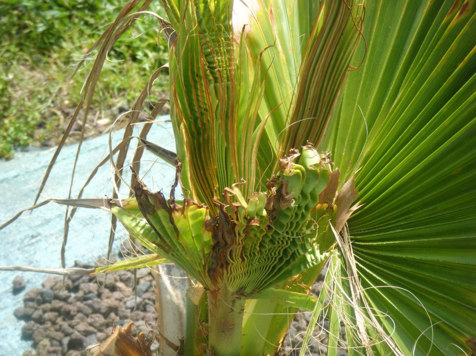 DSCF2558.JPG