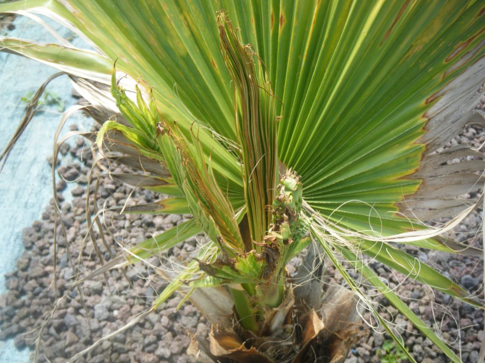DSCF2557.JPG