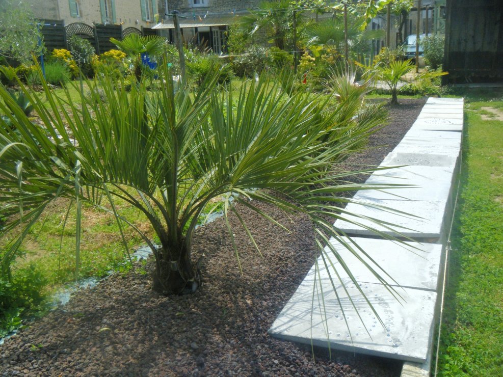 DSCF2562.JPG