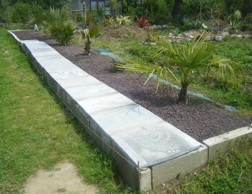 DSCF2564.JPG