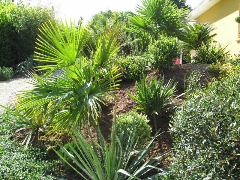 JARDIN MAI 2015 033 (800x600).jpg